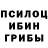 Галлюциногенные грибы MAGIC MUSHROOMS Rufat Rajabov