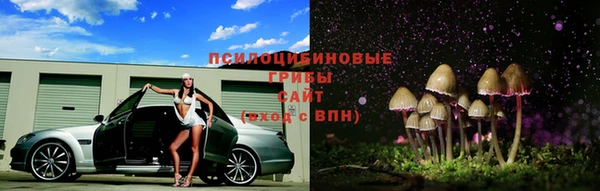 твердый Аркадак