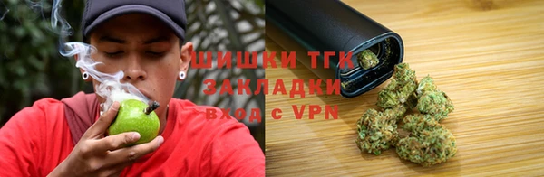 твердый Аркадак