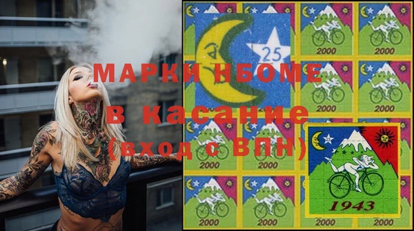 твердый Аркадак