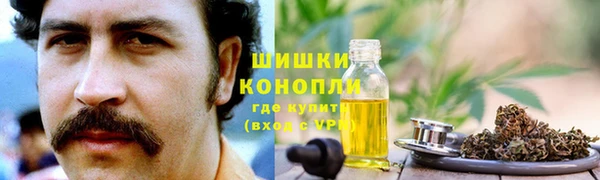 твердый Аркадак