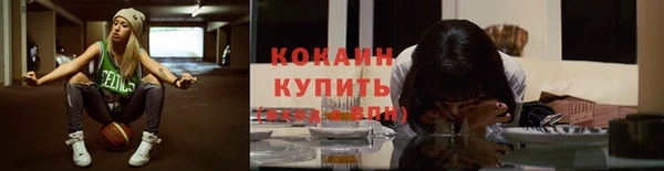 прущие крисы Арсеньев
