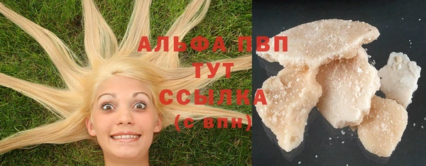 твердый Аркадак