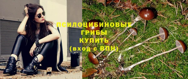 ешки Бронницы